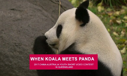 2017 China-Australia Youth Short Video Contest Promotion Video"When Koala Meets Panda" 2017 China-Australia Youth Short Video Contest officially started from October 1st, 2017.